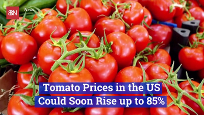 The Cost Of Tomatoes Are Going Up