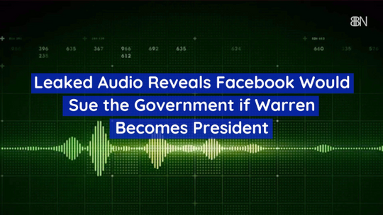 The Facebook Audio Leak