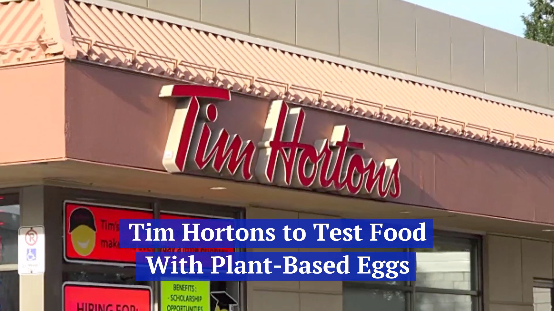 Tim Hortons Is Looking Into Fake Eggs
